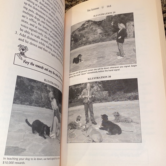 Book , The Dog Whisperer, A Compassionate, Nonviolent Approach to Dog Training - Picture 4 of 9